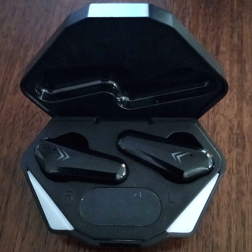 Wireless Bluetooth earbuds